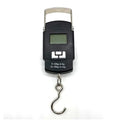Art&Beauty Digital Fish Scale, 110 lbs Capacity, Hanging Balance with LCD Backlight Display, Portable Handle, Stainless Steel Hook by Unknown