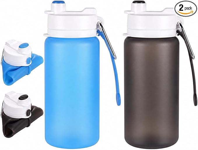 LemonRoad 2 Pcs 19 oz Silicone Collapsible Water Bottle, Gray Blue | Portable Foldable Water Bottle, Leakproof, Carabiner, Reusable, Lightweight, for Travel Sport Hiking Camping Cycling Office by Unknown