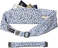 BANDI Plus Size Fanny Pack for Women – Travel-Ready Pocket Belt for Phone, Passport, Keys, Money, & Medical Devices (Pocketed Belt + Extender (28"-54"), Daisy Chain) by BANDI