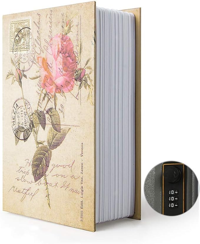 Small Sized Diversion Book Safe Storage Box, Dictionary Secret Safe Can with Security Combination Lock/Key, Diversion Book Hidden Safe (Combination, Rose) by PACOLO
