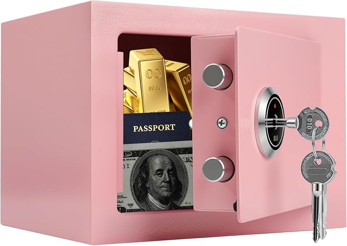 Small Safe Box for Home,Wall Safes 0.23 Cubic Feet, Heavy Duty Steel Safety Lock Box with 3 Keys for Money, Passort, Jewelry 9.06"x 6.69"x 6.69" Pink by Crinwaki