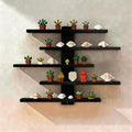 No Drill Floating Shelf for Wall, 5-Tier Wall Mounted Organizer, Damage-Free Display Shelf for Collectibles, Figures, Bathroom Kitchen Storage, Black by Frawenleco