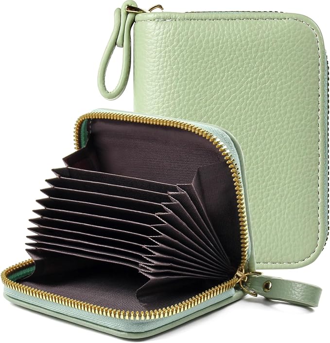 Credit Card Wallet, RFID Card Case Wallet, Zipper Card Cases Holder for Men Women, RFID Blocking, KeyChain Wallet, Compact Size Card Organizer Case for Women by Ecovision