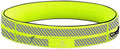 FlipBelt Classic Running Belt, Phone Holder for Running, Money Belt Pouch by FlipBelt