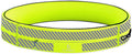 FlipBelt Classic Running Belt, Phone Holder for Running, Money Belt Pouch by FlipBelt