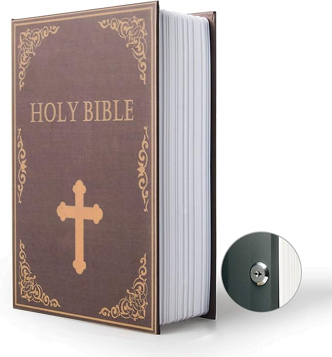 Diversion Book Safe Storage Box (9.5"6"2.2"), Dictionary Secret Safe with Security Key Lock by PACOLO