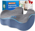 BlissTrends Extra Thick Seat Cushion for Office Chair & Car Seat, Grey&Blue | Tailbone & Sciatica Relief, Ergonomic Support, High-Density Memory Foam, Comfort for Extended Sitting by BlissTrends