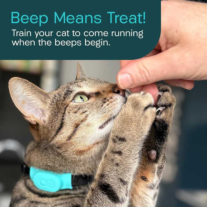 Tabcat V2 Cat & Kitten Tracker - More Accurate Than GPS - No Monthly Fee or Subscription - Includes 4 Homing Tags - Up to 150m Range - Small & Lightweight Tags Perfect to Find Indoor & Outdoor Cats - Image 8