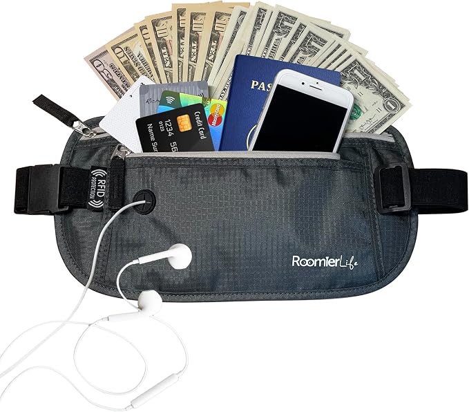 RFID Blocking Passport Holder Travel Pouch for Men & Women - Hidden Money Belt with Anti-Theft Locking Zipper, Slim Waterproof Waist Wallet for Cash, Credit Cards, Passport & Travel Documents, Grey by RoomierLife