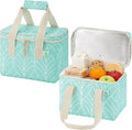 VENO 2 Pack Small Cooler Insulated Lunch Bag Reusable Grocery Shopping Bag | Collapsible Lunch Box Tote for Women Men w/ Handles, Dual Zippers, 9L Capacity for Work Office Picnic Beach (Evergreen) by Veno