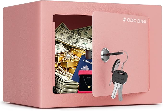 CDC DIGI Steel Security Safe Box with Key Lock,Safe Box for Home, Office, Money, Jewelry, Documents and Valuables, 0.23 Cubic Feet, 9.06" W x 6.69" D x 6.69" H, Pink by CDC+DIGI