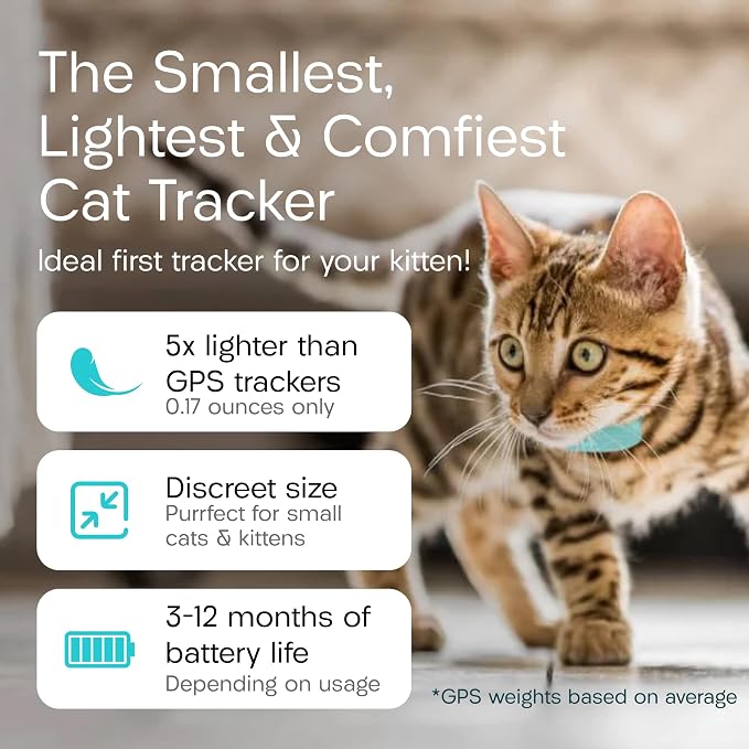 Tabcat V2 Cat & Kitten Tracker - More Accurate Than GPS - No Monthly Fee or Subscription - Includes 4 Homing Tags - Up to 150m Range - Small & Lightweight Tags Perfect to Find Indoor & Outdoor Cats - Image 5