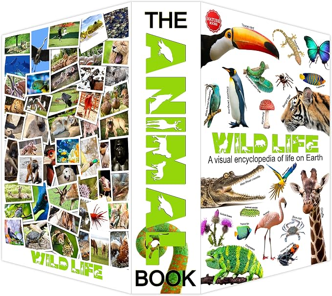 Diversion Book Safe with Combination Lock, Secret Hidden Storage Box, Wild Life Encyclopedia Design with Real Paper Pages, 9.3''x6.0''x2.3'', Sturdy Metal Interior, Discreet Security Organizer - Image 5