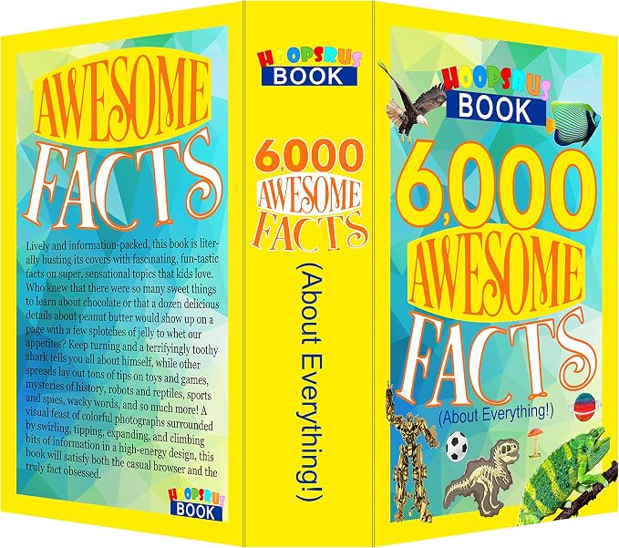 6000 Awesome Facts Book Safe Lock Box with Key, Decorative Hidden Book Safe with 2 Keys, Diversion Safe Box Secret Compartment Items for Cash and Family Security, 9.3" x 6.0" x 2.3" - Image 4