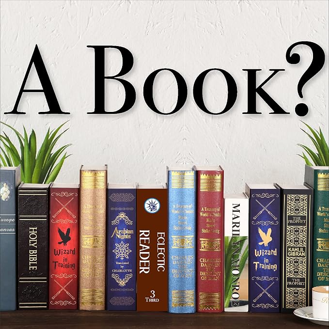 Eclectic Reader Book Safe with Real Pages, Vintage Secret Compartment Items Storage Box with Classic Key Lock, Decorative Hidden Stash Box, Hardcover Safe Box for Money, 9.3"x6.0"x2.3" - Image 3
