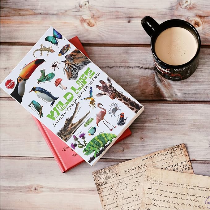 Wild Life Diversion Book Safe with Key Lock, Secret Hidden Storage Box, Real Paper Pages, 9.3''x6.0''x2.3'', Includes 2 Keys, Sturdy Steel Metal Vault, Discreet Home Security Organizer - Image 9