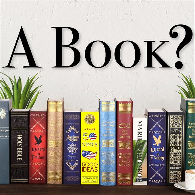 50 States Book Safe with Real Pages, Key Lock Diversion Hidden Safe | Hidden safe box and hollow storage compartment for cash money. Decorative book box stash case for passport savings. - Image 3