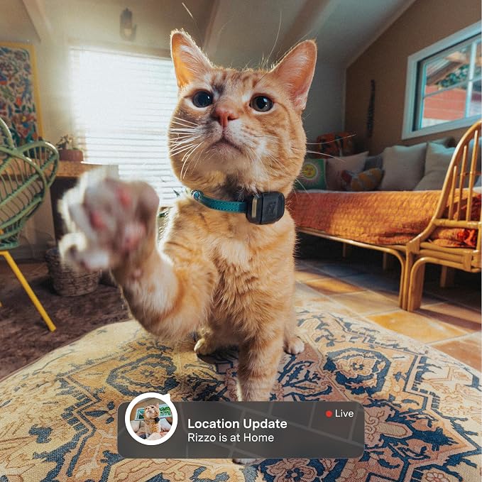Fi Mini Attachable GPS + Activity Tracker for Cats, 12-Month Membership | Smart GPS collar attachment with virtual fences, escape alerts, health and step tracking. Lightweight and waterproof. - Image 2