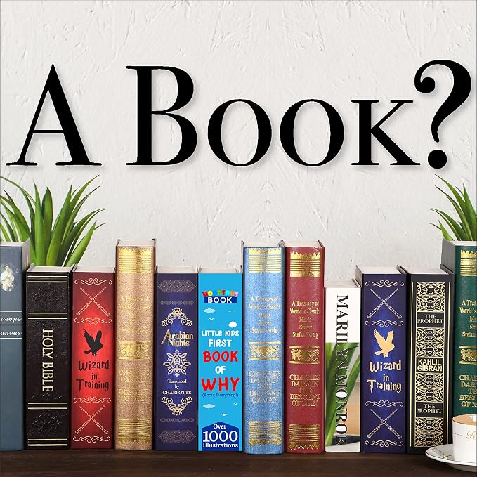 Book of Why Book Safe with Real Pages, Student Secret Compartment Items Storage Box with 3-Digit Combination Lock, Decorative Hidden Stash Box, Family Allowance Coin Bank, 9.3"x6.0"x2.3" - Image 3